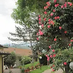 Valle Degli Ulivi *