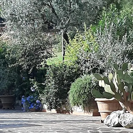 Apartament Valle Degli Ulivi