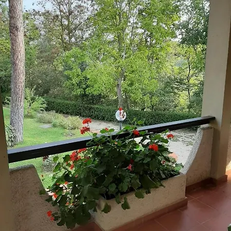 Apartament Valle Degli Ulivi *