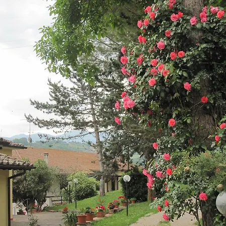 Valle Degli Ulivi *