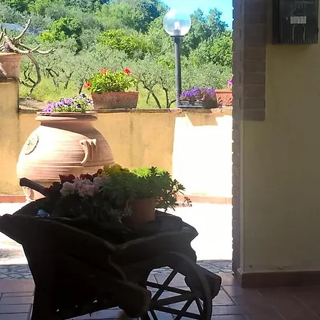 Valle Degli Ulivi 아파트