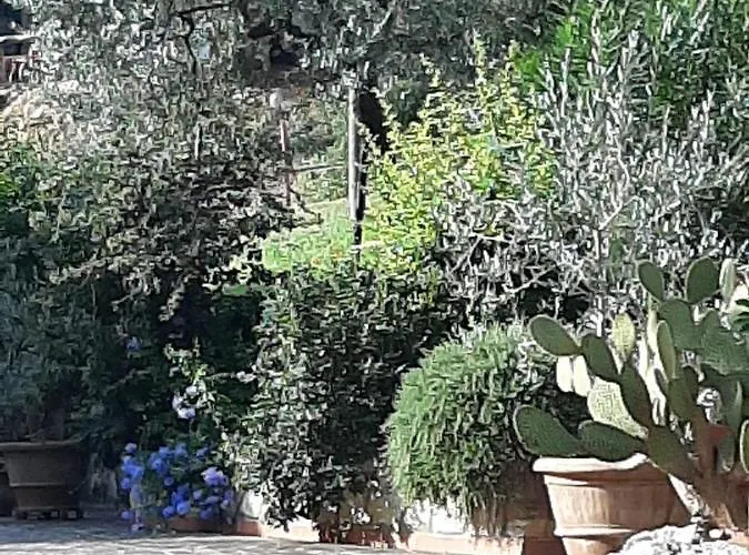 דירה Valle Degli Ulivi