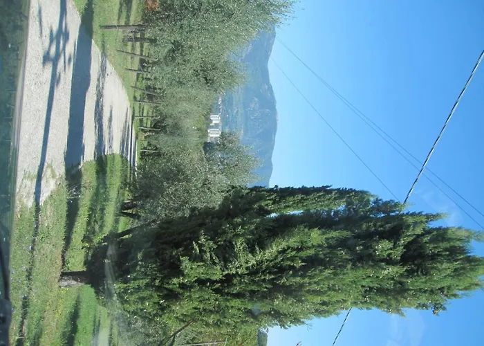 דירה Valle Degli Ulivi טרני