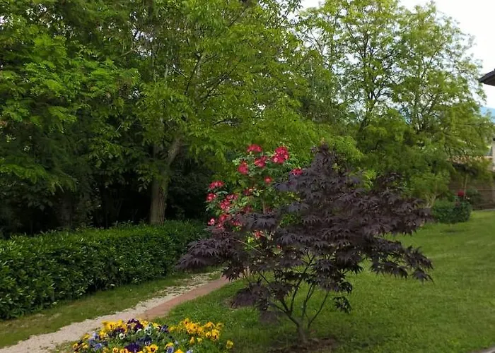 Valle Degli Ulivi Apartmán